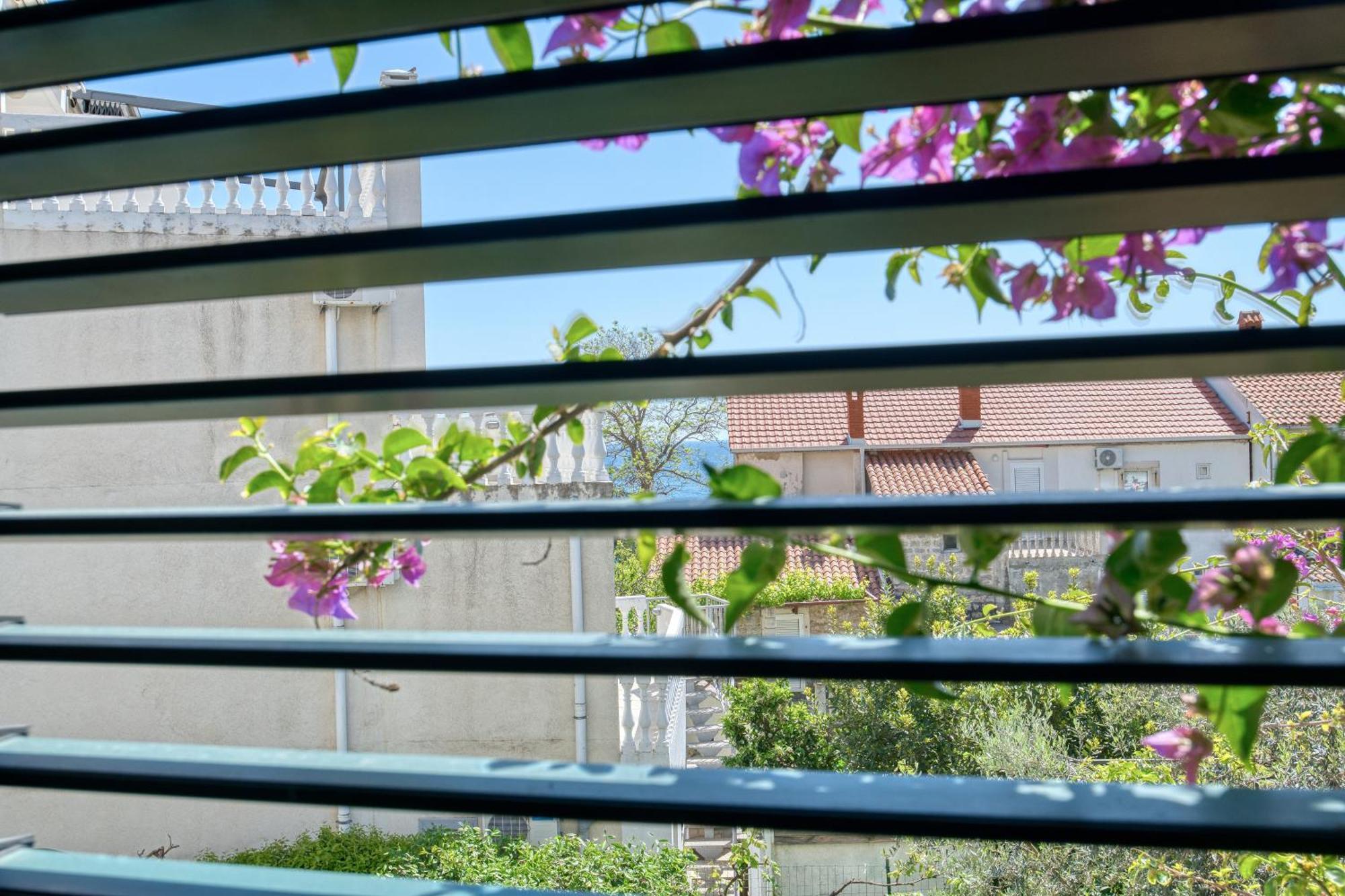Apartman Zenta Petrovac المظهر الخارجي الصورة