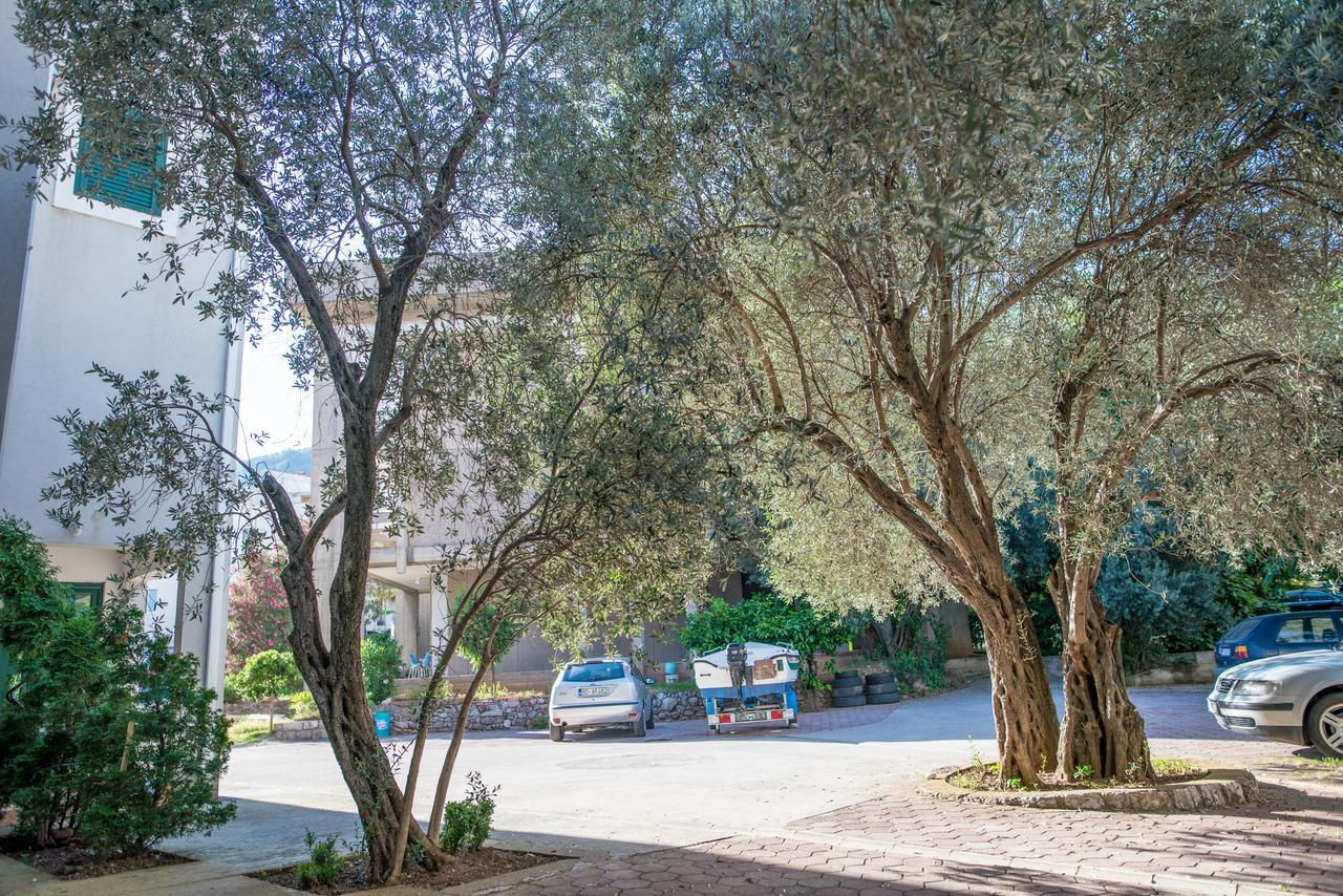 Apartman Zenta Petrovac المظهر الخارجي الصورة
